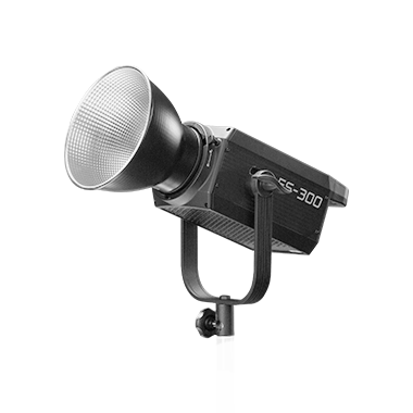 FS-300